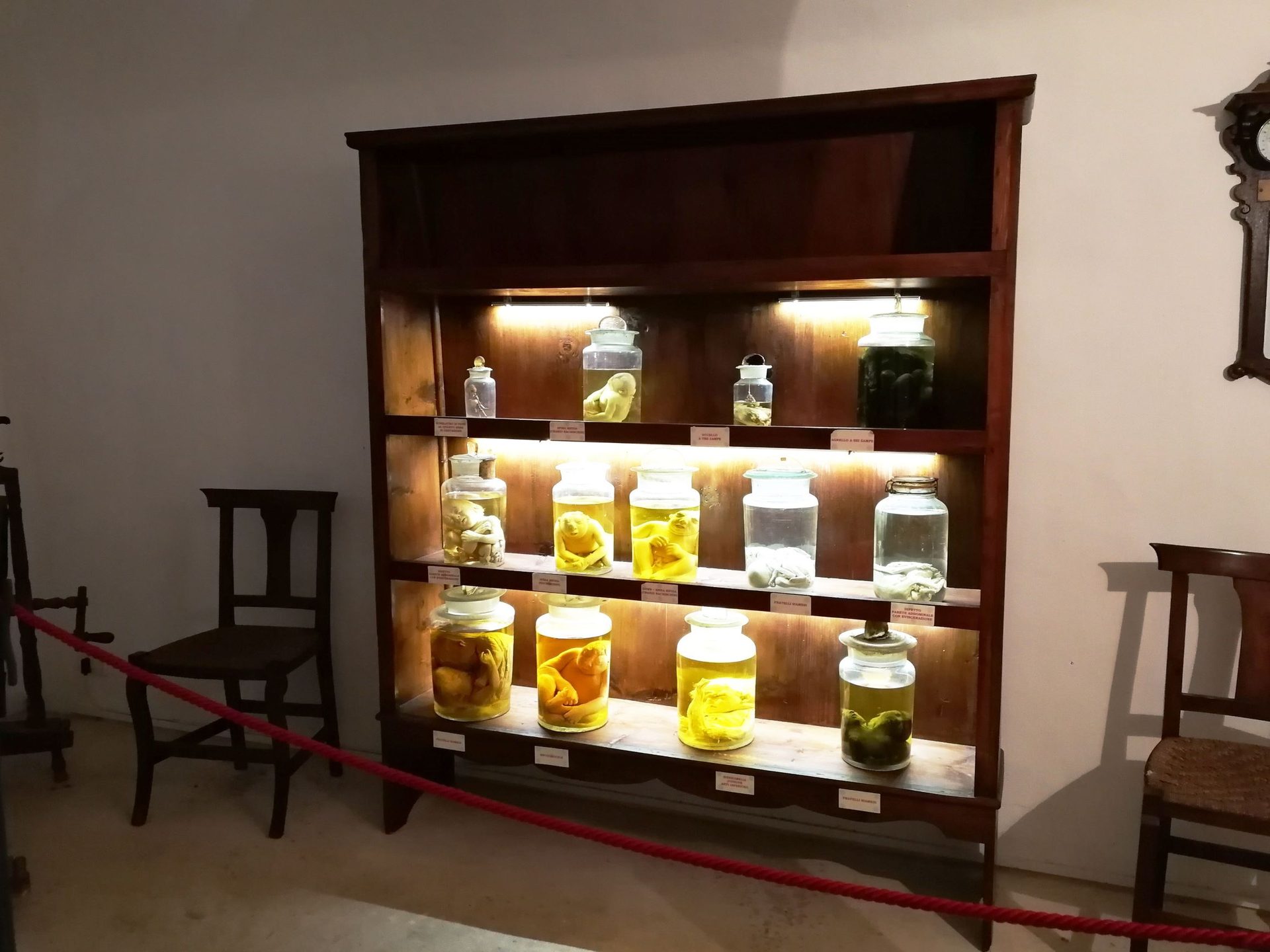 Emanuele Barba's Museum, Gallipoli (4).jpeg